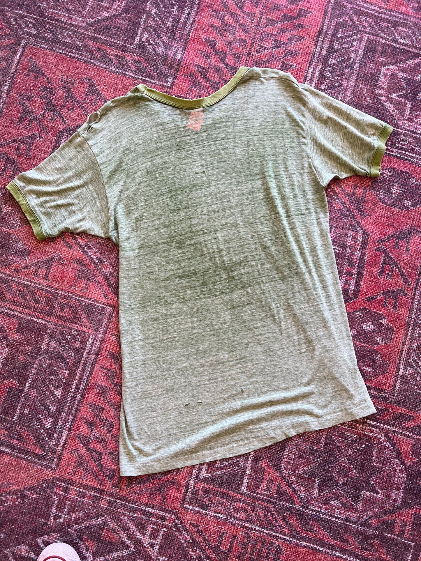 Green Mountain Vermont vintage tshirt