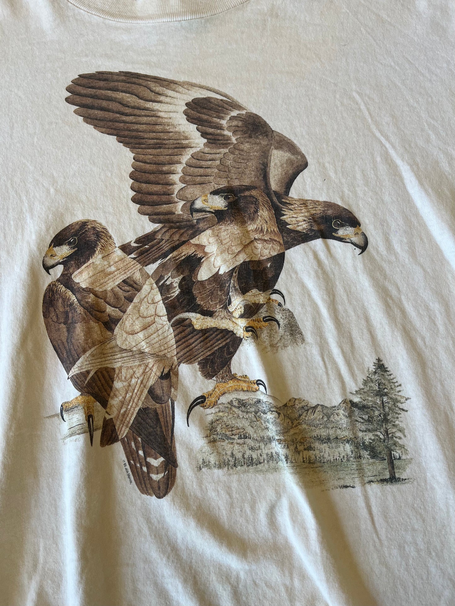 Two Hawks vintage tshirt