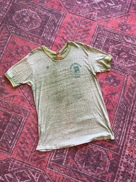 Green Mountain Vermont vintage tshirt